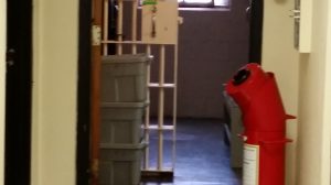 AttorneyWeekly.com Photo