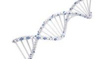 DNA String AttorneyWeekly.com
