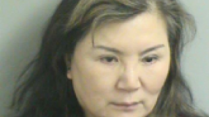 Ms. Nina X. Meng, 56, of Edgewood Drive arrested on promotion of prostitution charges