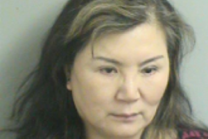 Ms. Nina X. Meng, 56, of Edgewood Drive arrested on promotion of prostitution charges